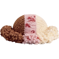 Neapolitan Ice Cream Food Product Image