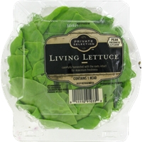 Lettuce - Living Lettuce - Private Selection Product Image