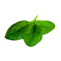 Kroger, Fresh Selections, Tender Spinach Food Product Image