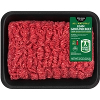 93% Lean/ 7% Fat, Lean Ground Beef Tray, 2 lbs Food Product Image