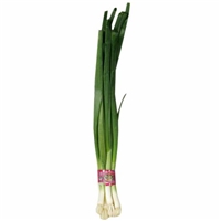 Organic Green Onions Food Product Image