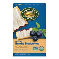 Nature's Path Organic Frosted Buncha Blueberries Toaster Pastries - 6 CT Product Image