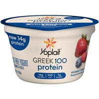 Yoplait Greek 100 Calories Yogurt Mixed Berry Product Image