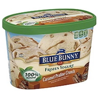 Blue Bunny Frozen Yogurt Caramel Praline Crunch Allergy and Ingredient ...