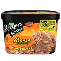 Breyers Blasts! Reese's Peanut Butter Cups Frozen Dairy Dessert Chocolate Product Image