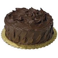 Wegmans Frozen Cakes & Pies Ultimate White Cake With Chocolate Frosting Food Product Image