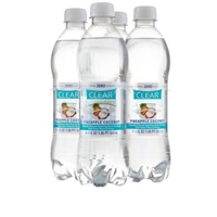 Clear American Sac 500ml-6/4 Pineapple Coconut Product Image