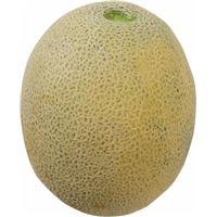Melons - Cantaloupe Food Product Image