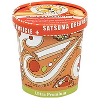 New Orleans Ice Cream Ice Cream Satsuma Dreamsicle Product Image